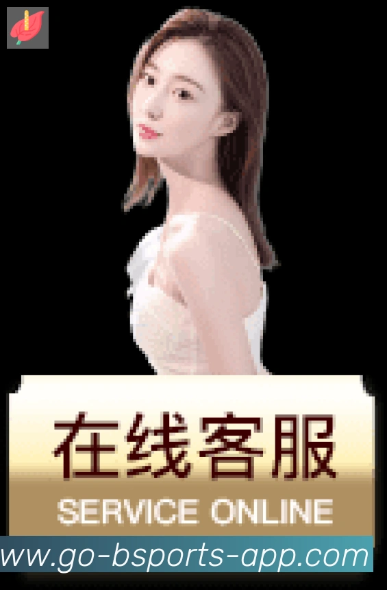 未来规划